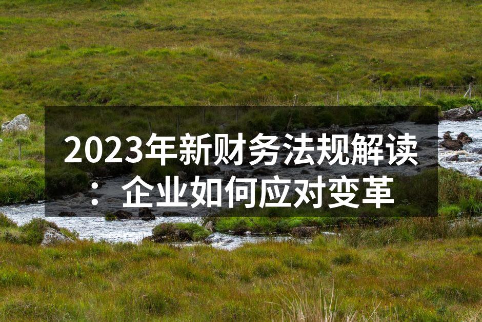 2023年新财务法规解读：企业如何应对变