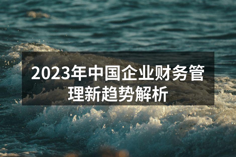 2023年中国企业财务管理新趋势解析