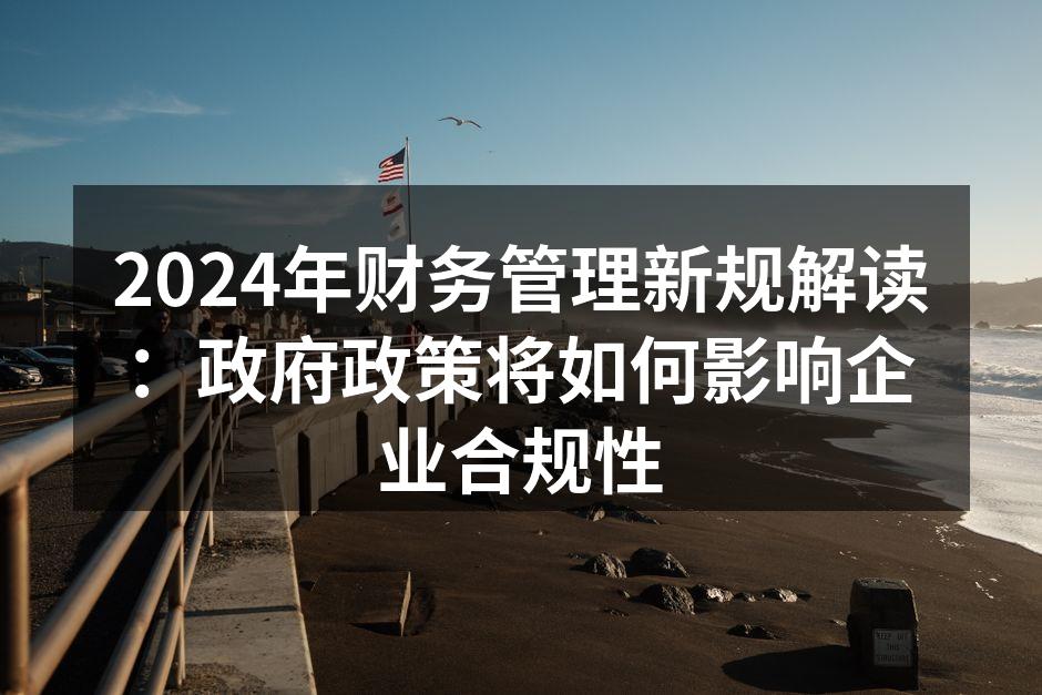 2024年财务管理新规解读：政府政策将如